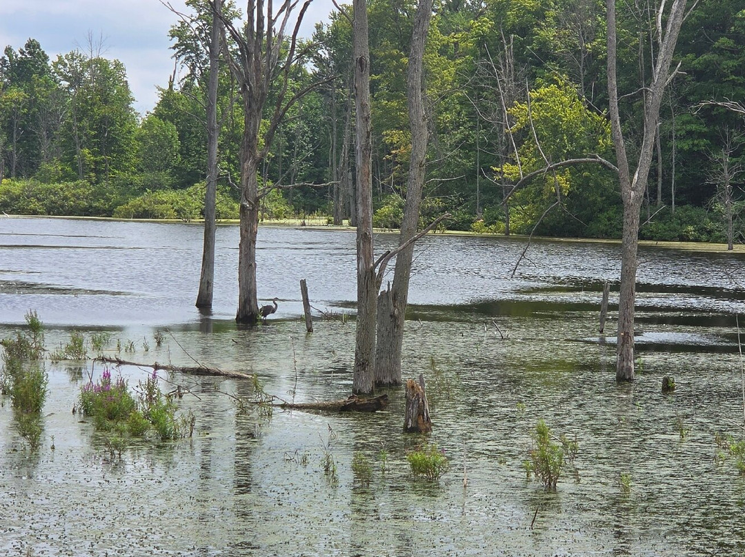 Iroquois National Wildlife Refuge-Basom必去景点