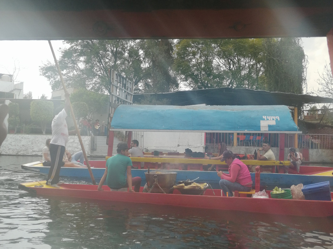 Floating Gardens of Xochimilco-墨西哥城必去景点
