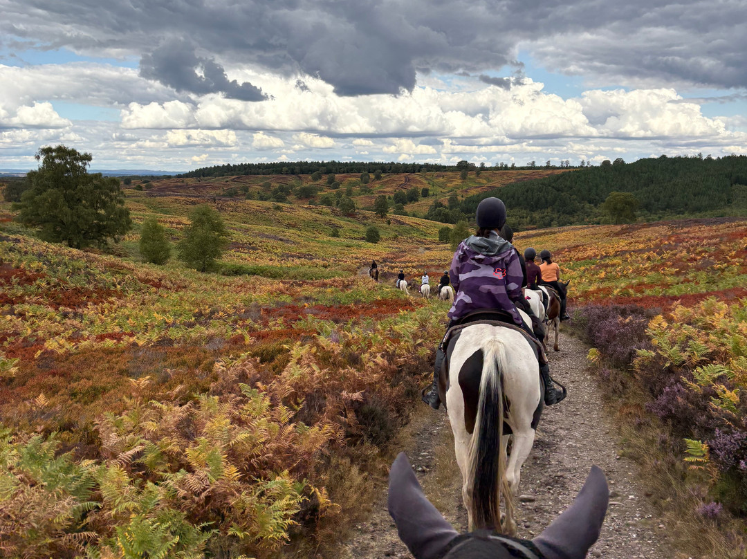 Cannock Chase Trekking Centre-Penkridge必去景点
