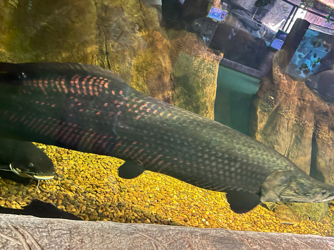 Oceanic Aquarium-康泊琉海水浴场必去景点