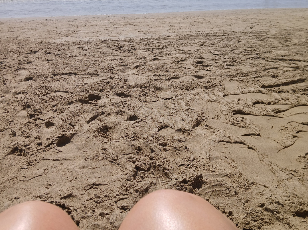 Playa Torrenostra-托雷布兰卡必去景点