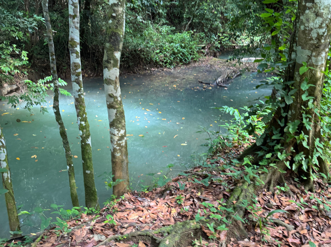 Gregory Tours Samana-Santa Barbara de Samana必去景点