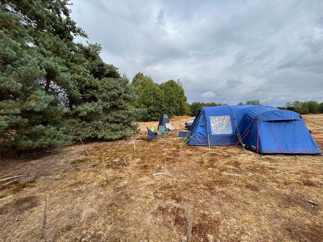 Ollerton旅游景点-Walesby Forest