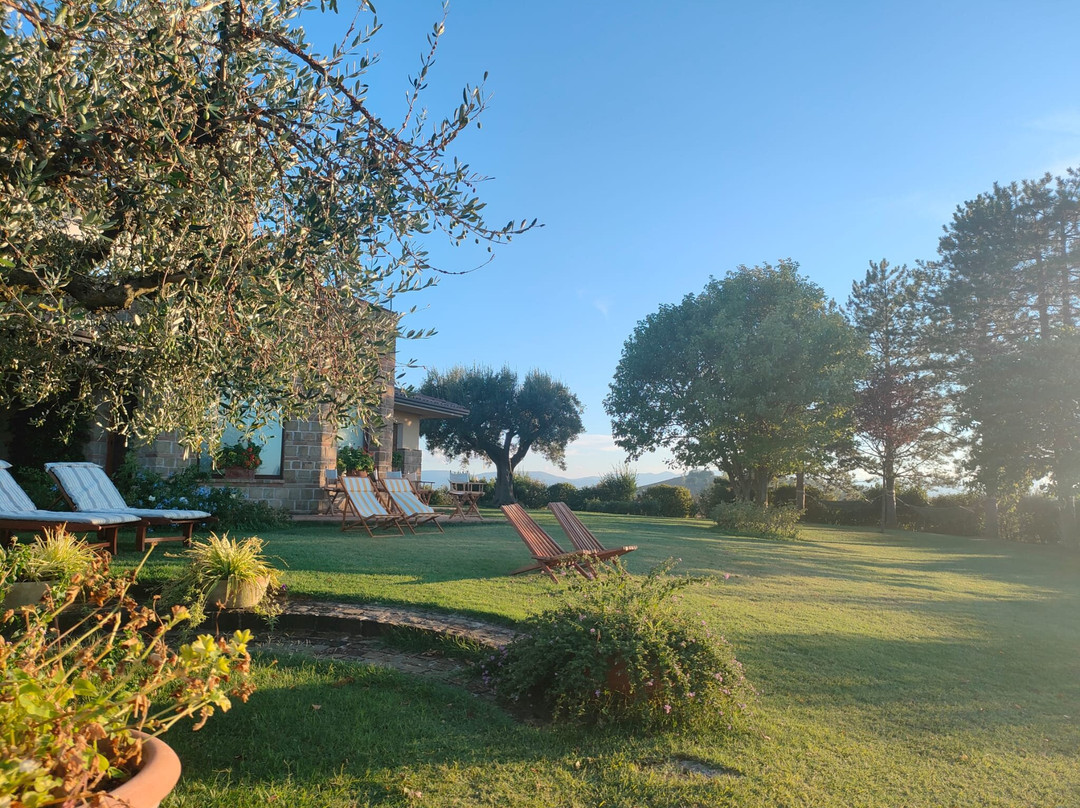Il Giardino Delle Rose主图