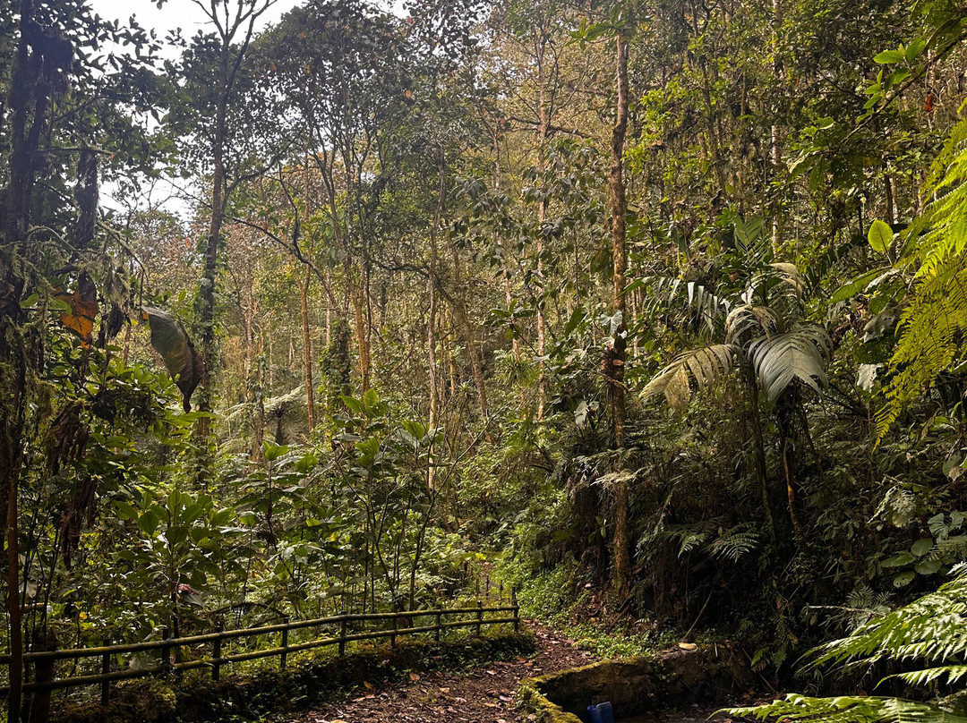 Parque Natural Los Tunos-San Antonio del Tequendama必去景点