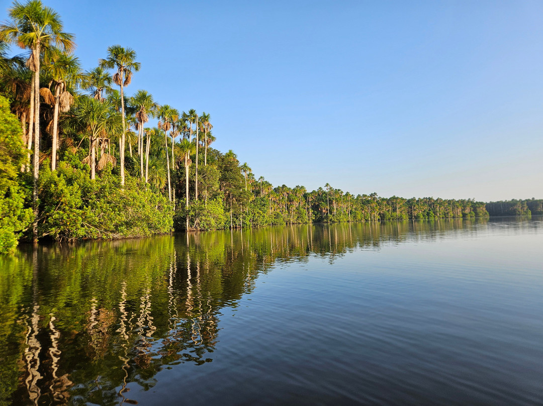 Tambopata Wild-Tambopata National Reserve必去景点