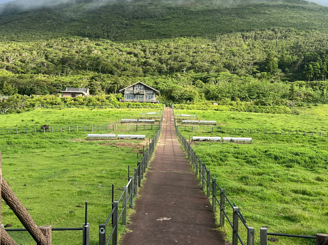 Hachijo Fuji Fureai Bokujo-八丈町必去景点