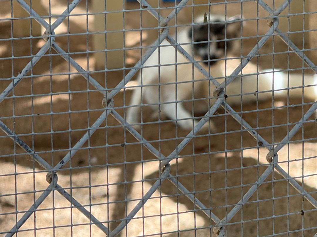 Southwest Wildlife Conservation Center-斯科茨代尔必去景点