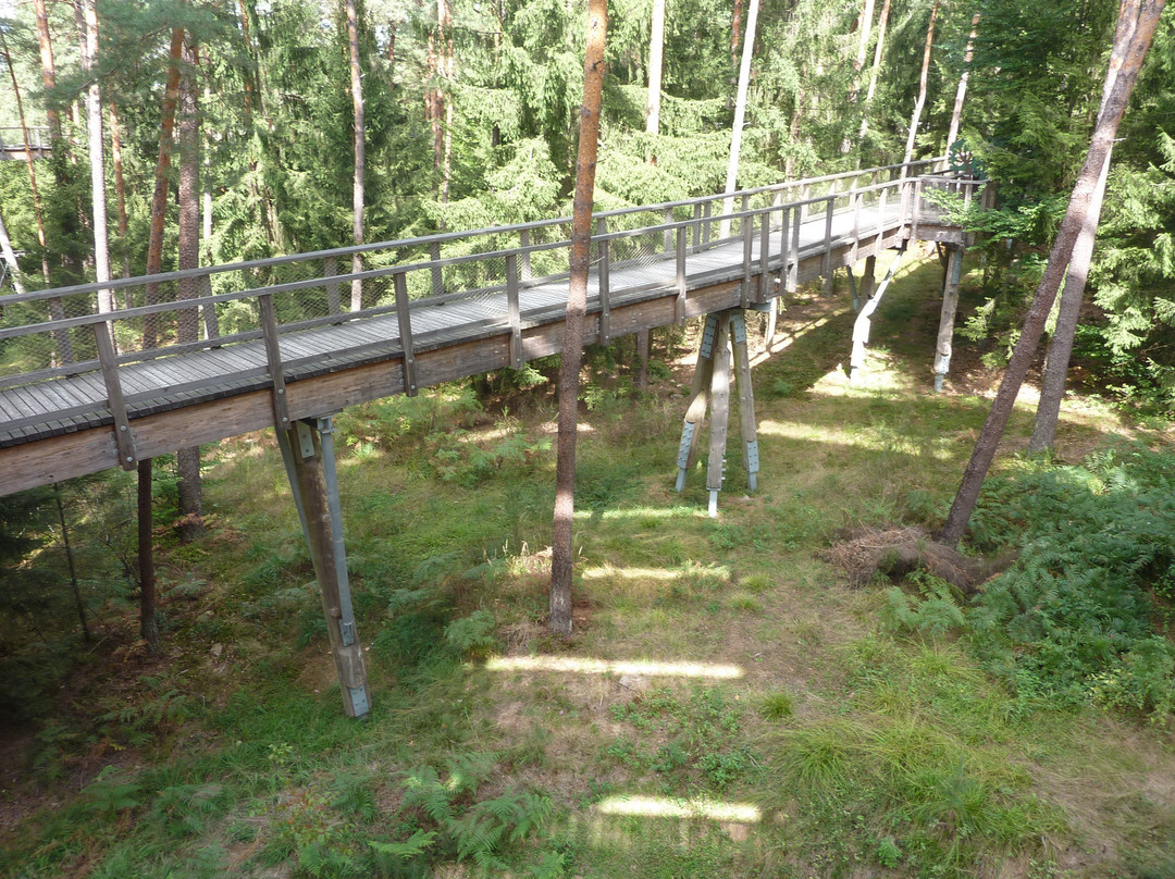 Chemin Des Cimes Alsace-Drachenbronn-Birlenbach必去景点