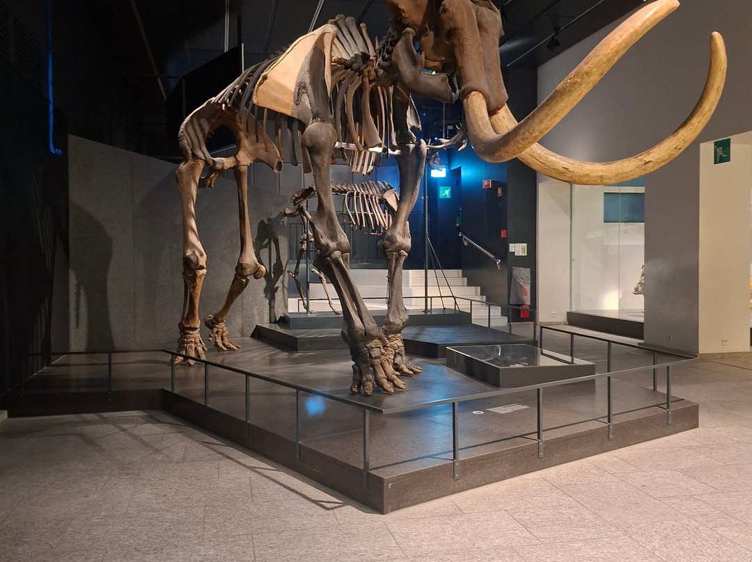 Zoologisches Museum der Universität Zürich-苏黎世必去景点