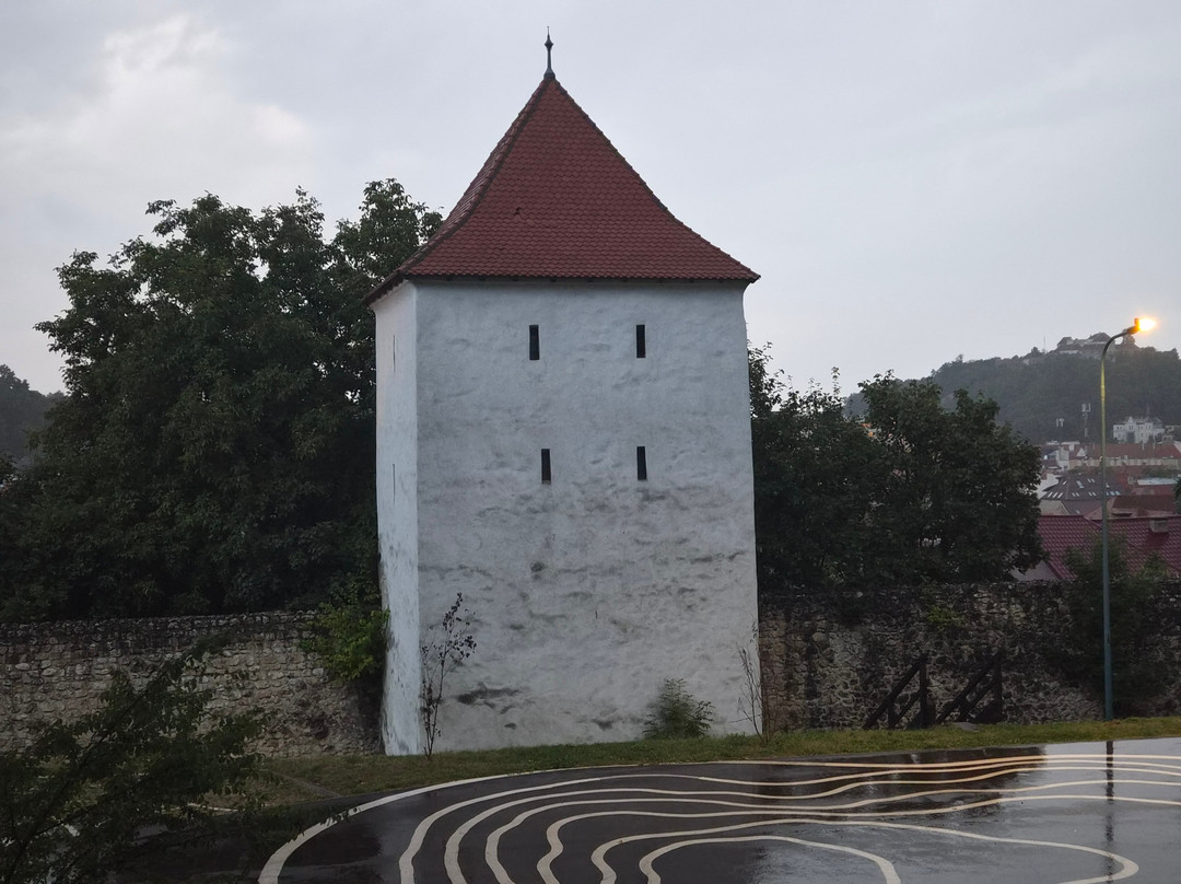Weavers Bastion or Bastionul Ţesătorilor-布拉索夫必去景点