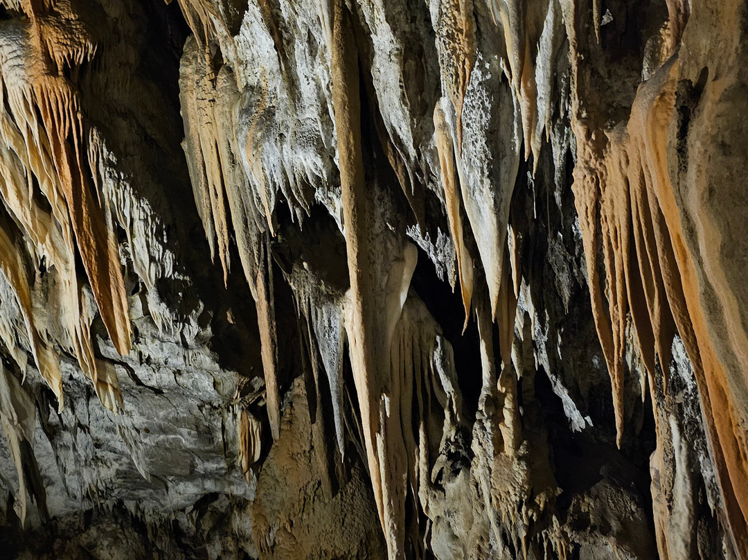 Postojna Cave-波斯托伊纳必去景点