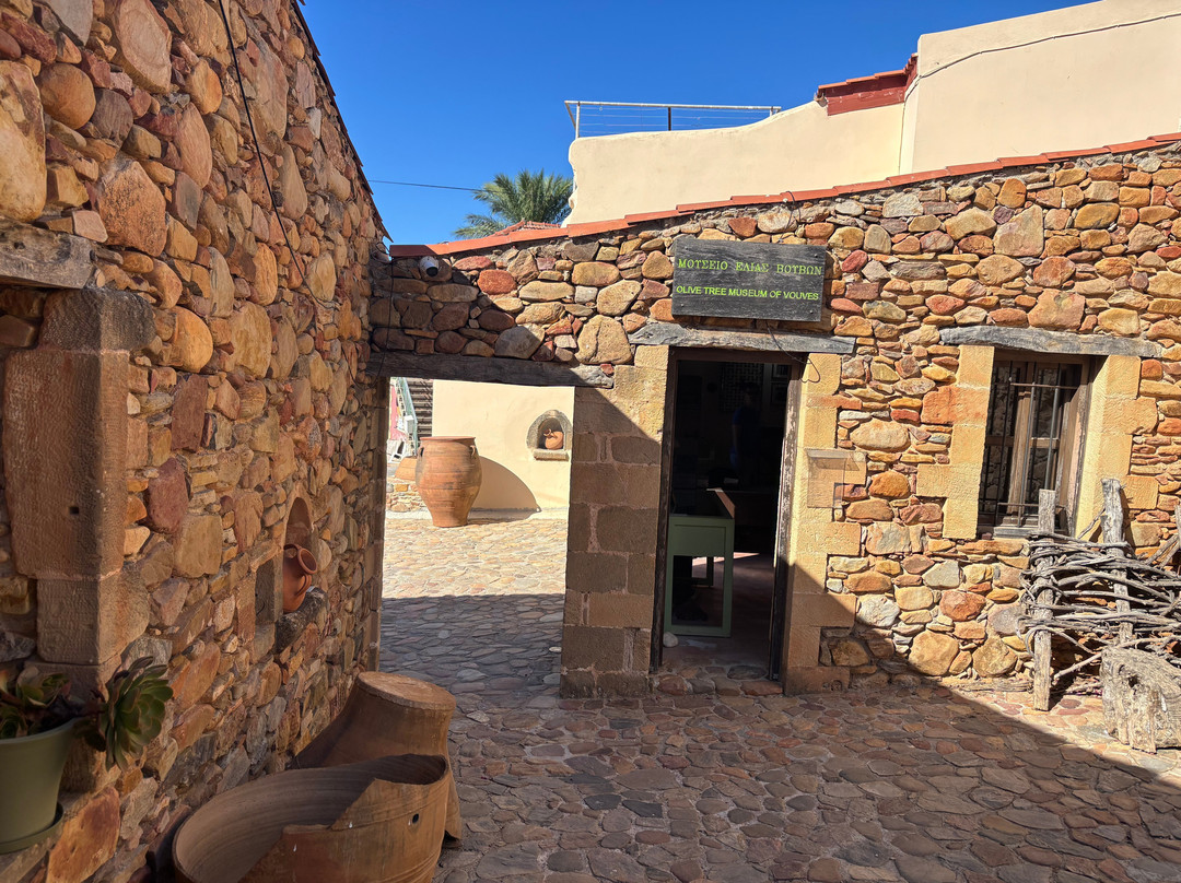 Olive Tree Museum of Vouves-Vouves必去景点