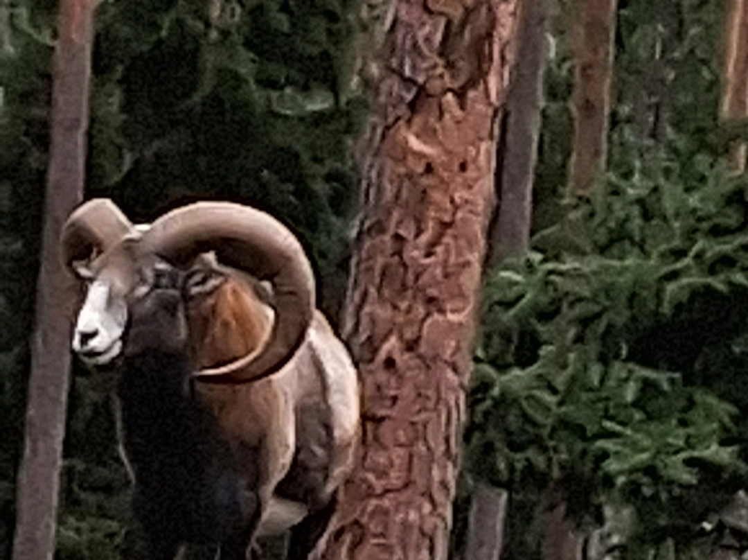Kosta Safaripark-Kosta必去景点