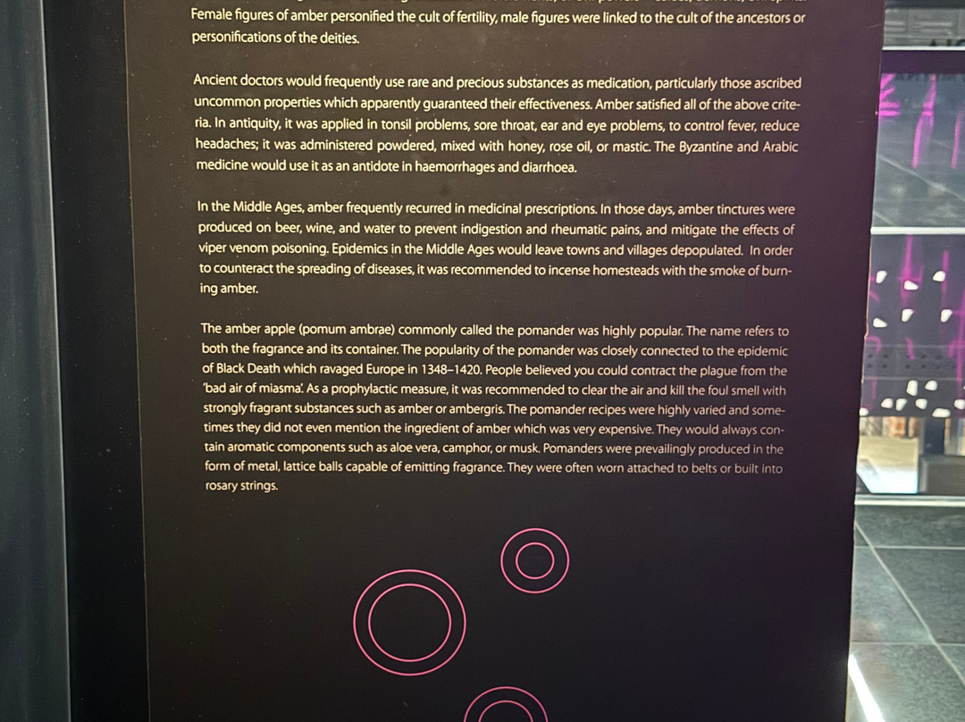 Museum of Amber - Museum of Gdansk-格但斯克必去景点