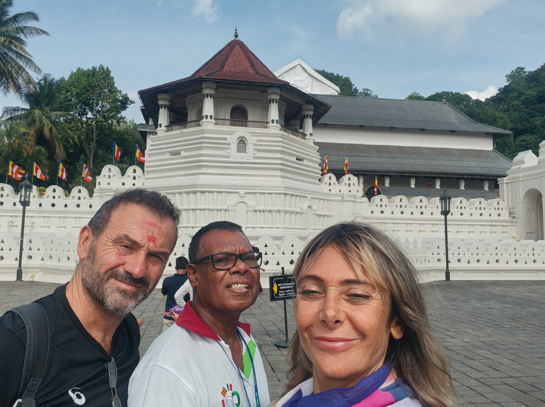 Sure Sri Lanka - Day Tours-科伦坡必去景点
