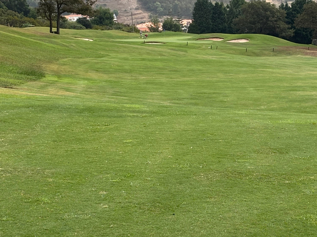 Palheiro Golf-沙尔必去景点