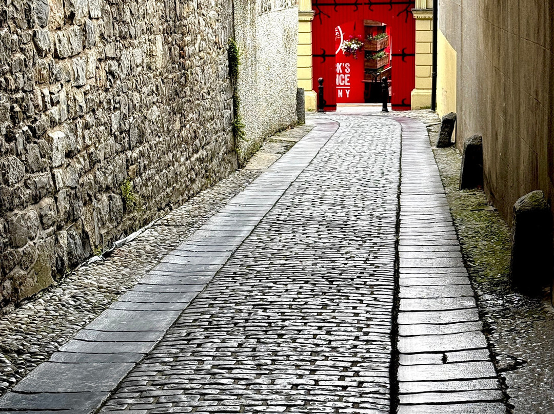 Irish Experience Tours-科克必去景点