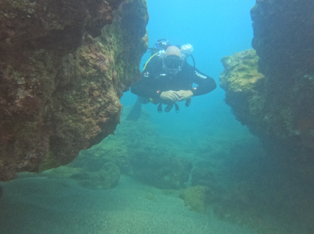 Paradise Dive Center-雷斯蒙必去景点