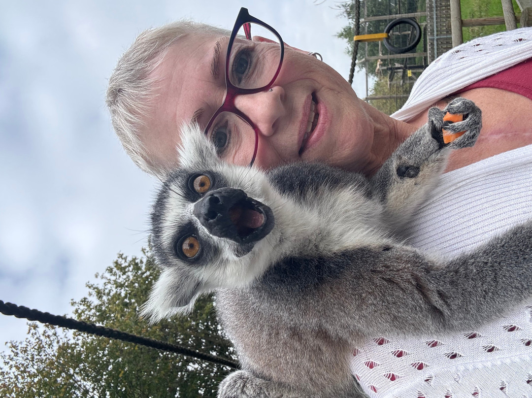 Wingham Wildlife Park-Wingham必去景点