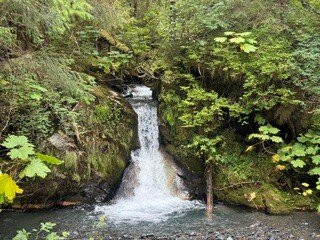 Specialized Tours of Sitka-锡特卡必去景点