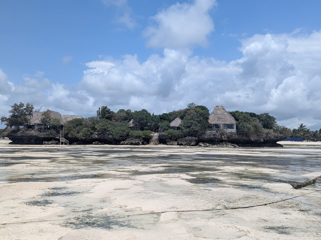 The Island - Pongwe Lodge主图