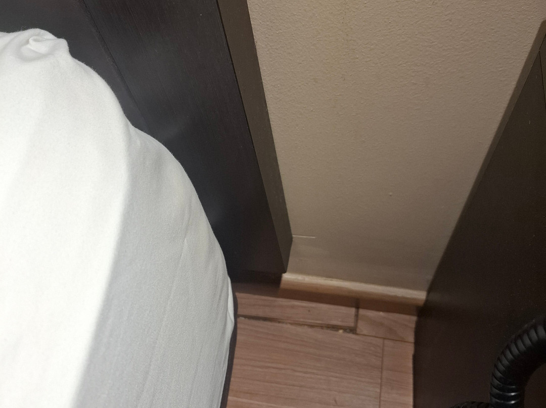奎雷塔罗假日旅馆主图