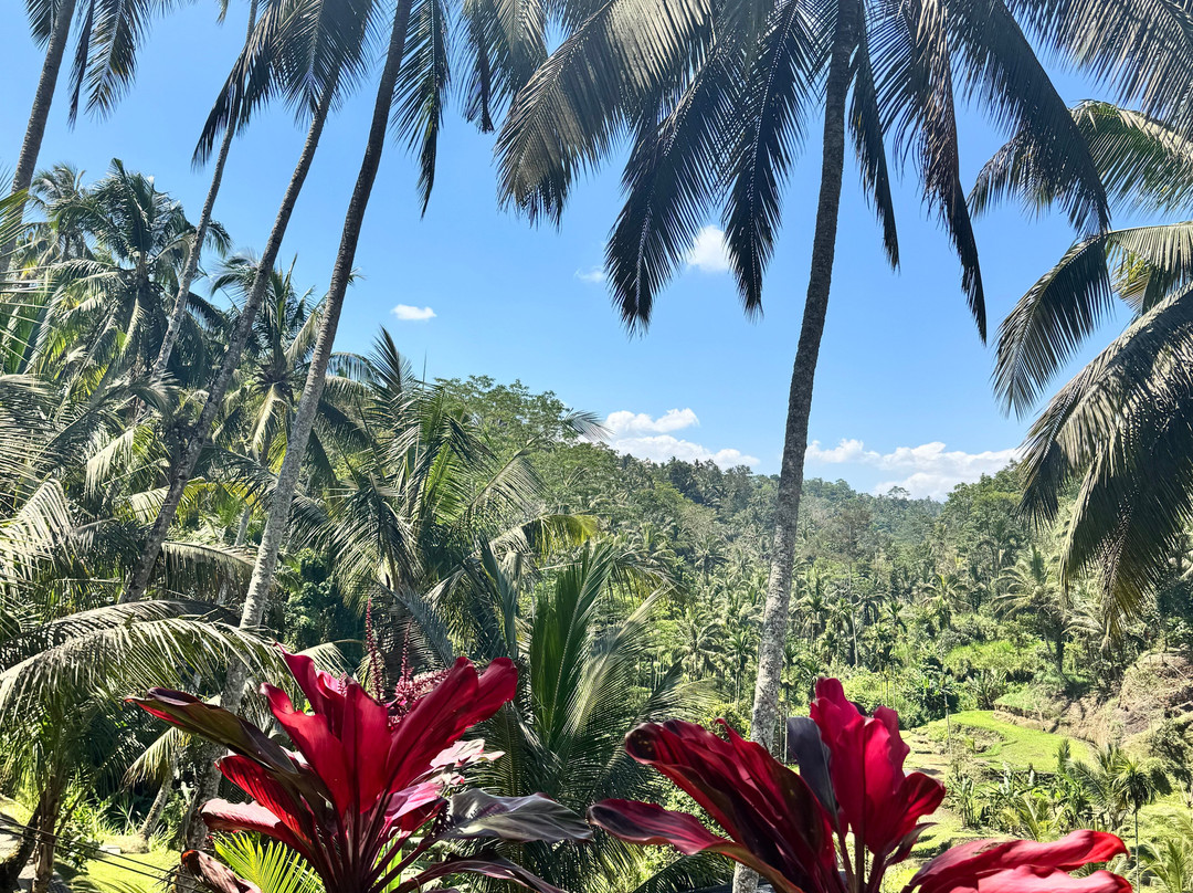 Bali Chauffeur - Day Tours-沙努尔必去景点