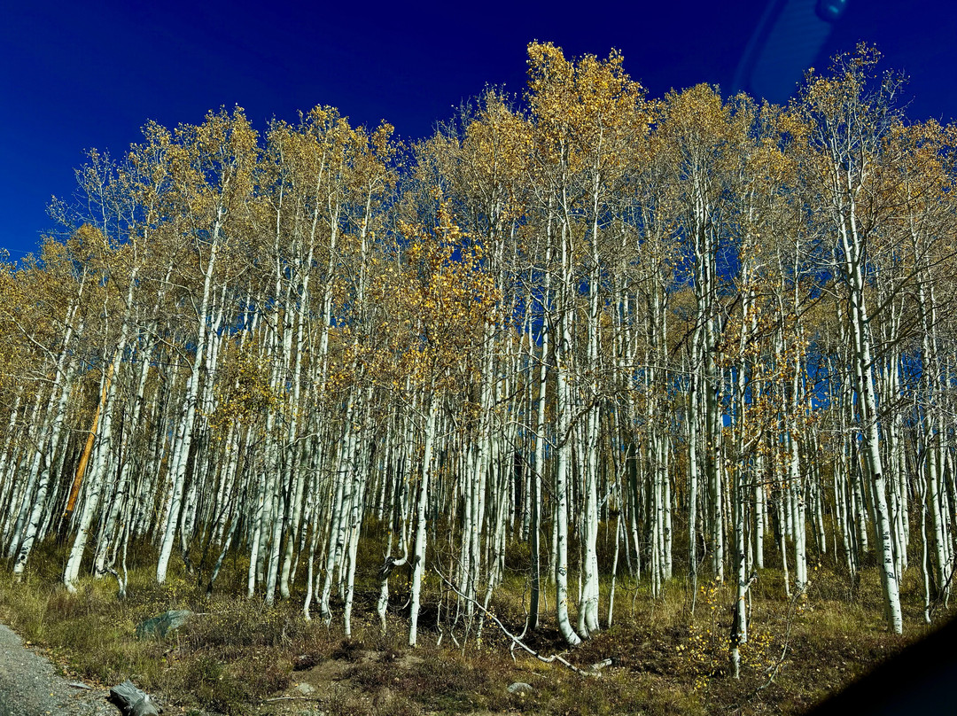 Wasatch Mountain State Park-Midway必去景点