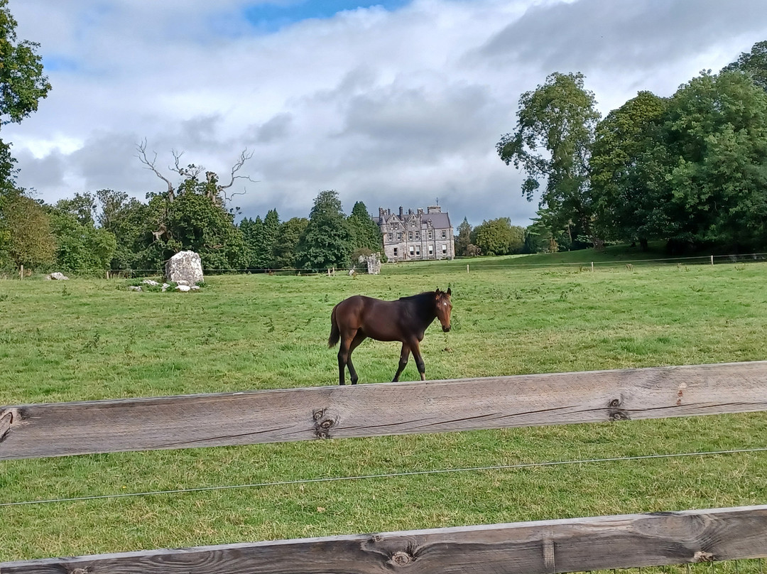 Irish Experience Tours-科克必去景点