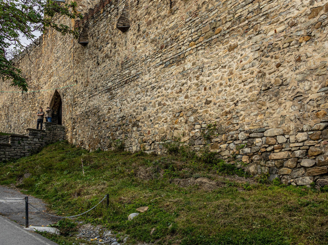 Ananuri fortress complex-Ananuri必去景点