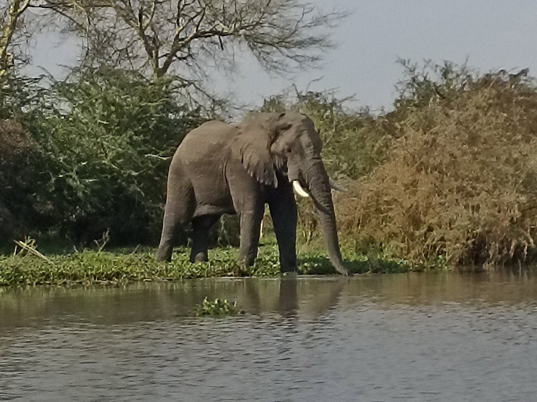 Liwonde National Park-Liwonde必去景点