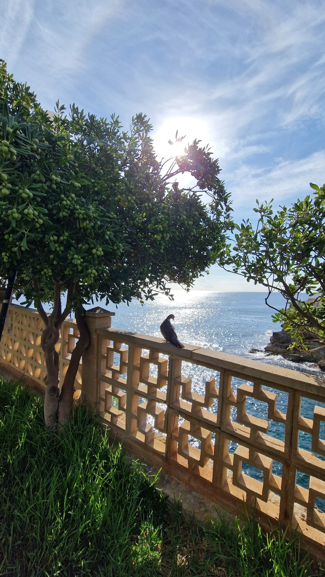 环球美洲酒店-旅行者