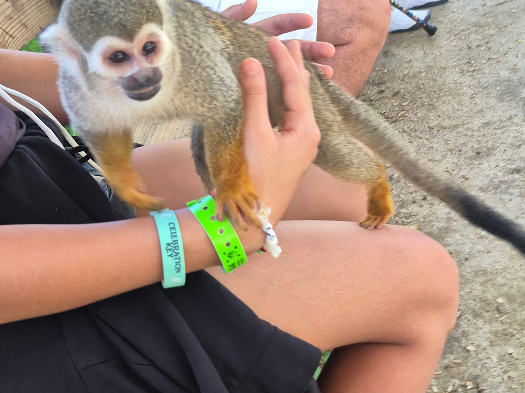 Monkey Home Puerto Plata-普拉塔港必去景点