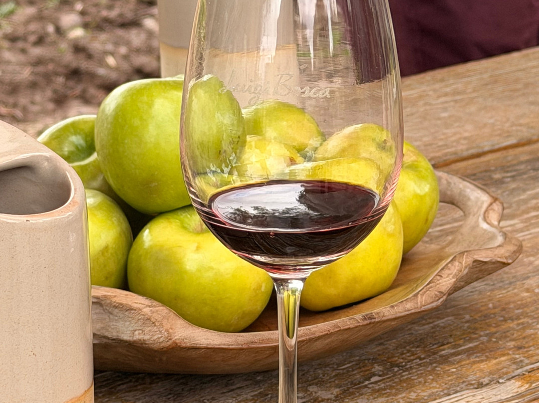 Finca El Paraíso - Bodega Luigi Bosca-Maipu必去景点