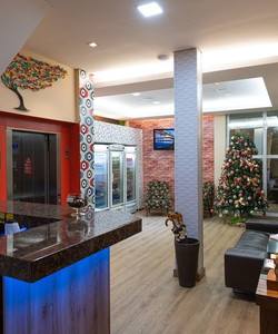 Hotel Nativo酒店图片