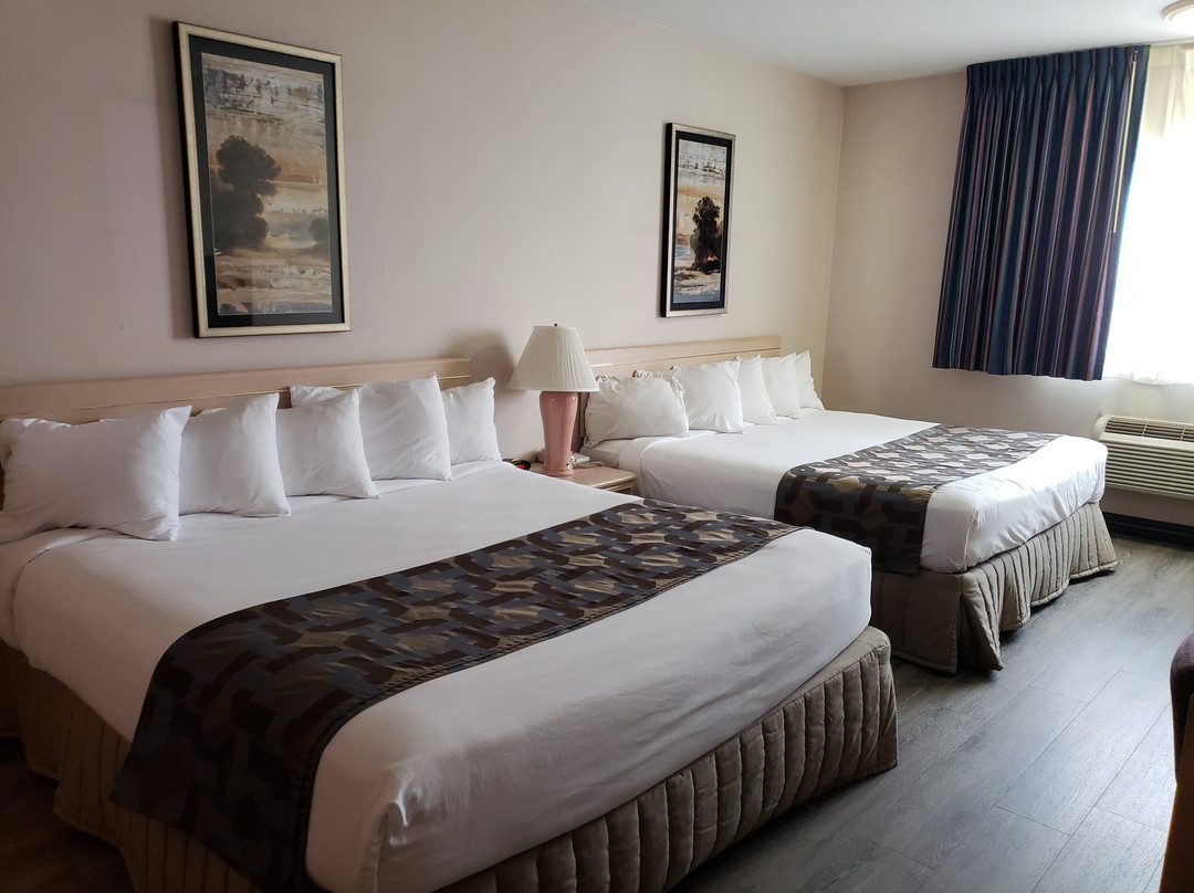 艾尔科希洛酒店