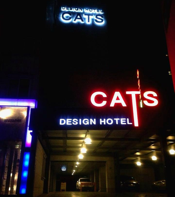 Cats Hotel