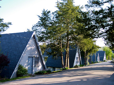 Reeds Spring酒店住宿-Alpine Lodge Resort