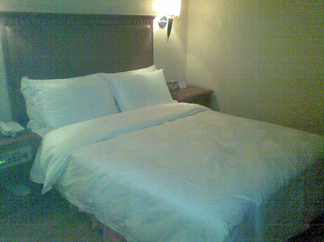 南方明珠国际大酒店主图