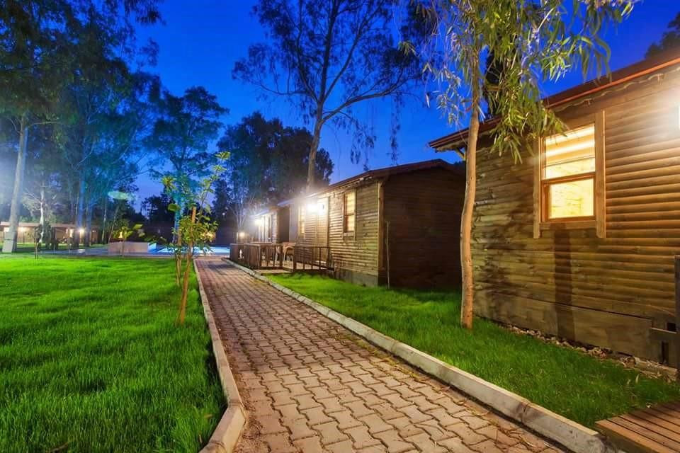 萨克利肯特酒店住宿-Lemon Park House