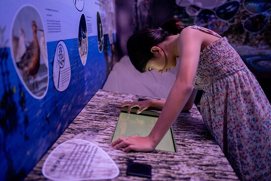 Marine Discovery Centre景点图片