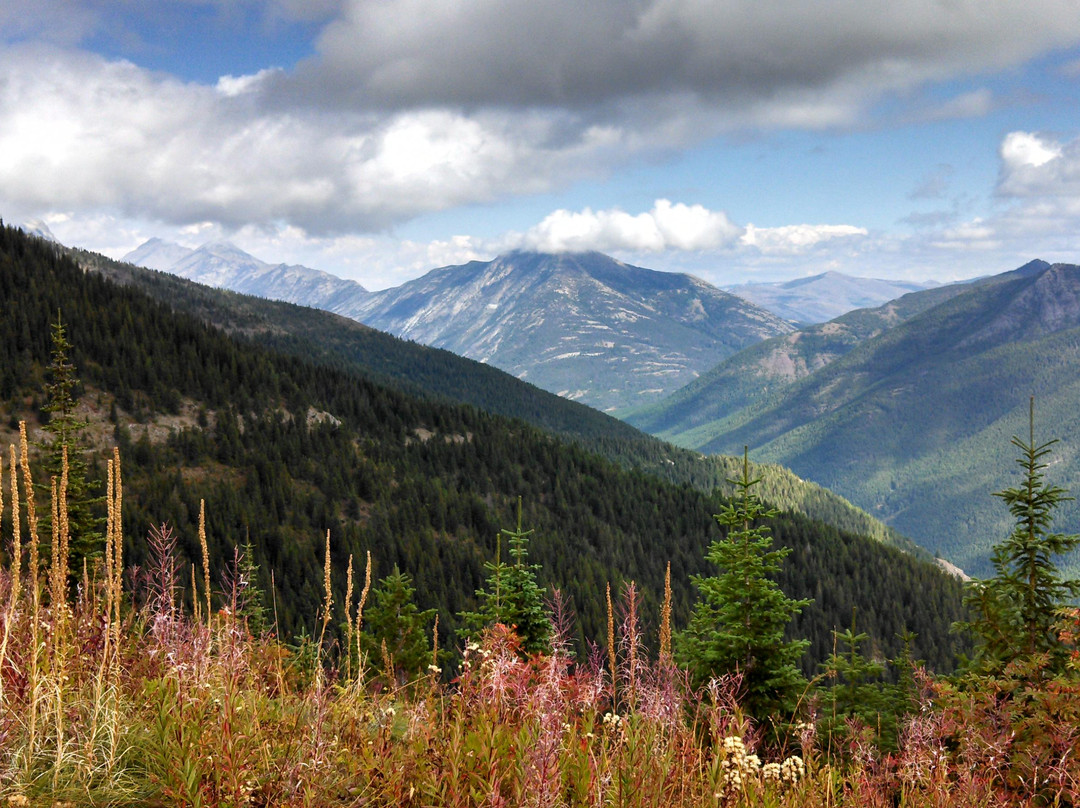Scalplock Lookout Trail景点图片
