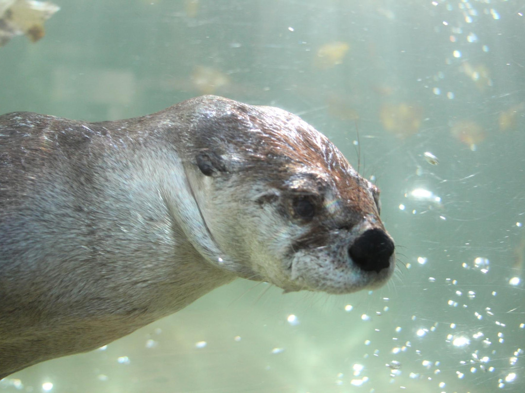 Zoo Ecomuseum景点图片