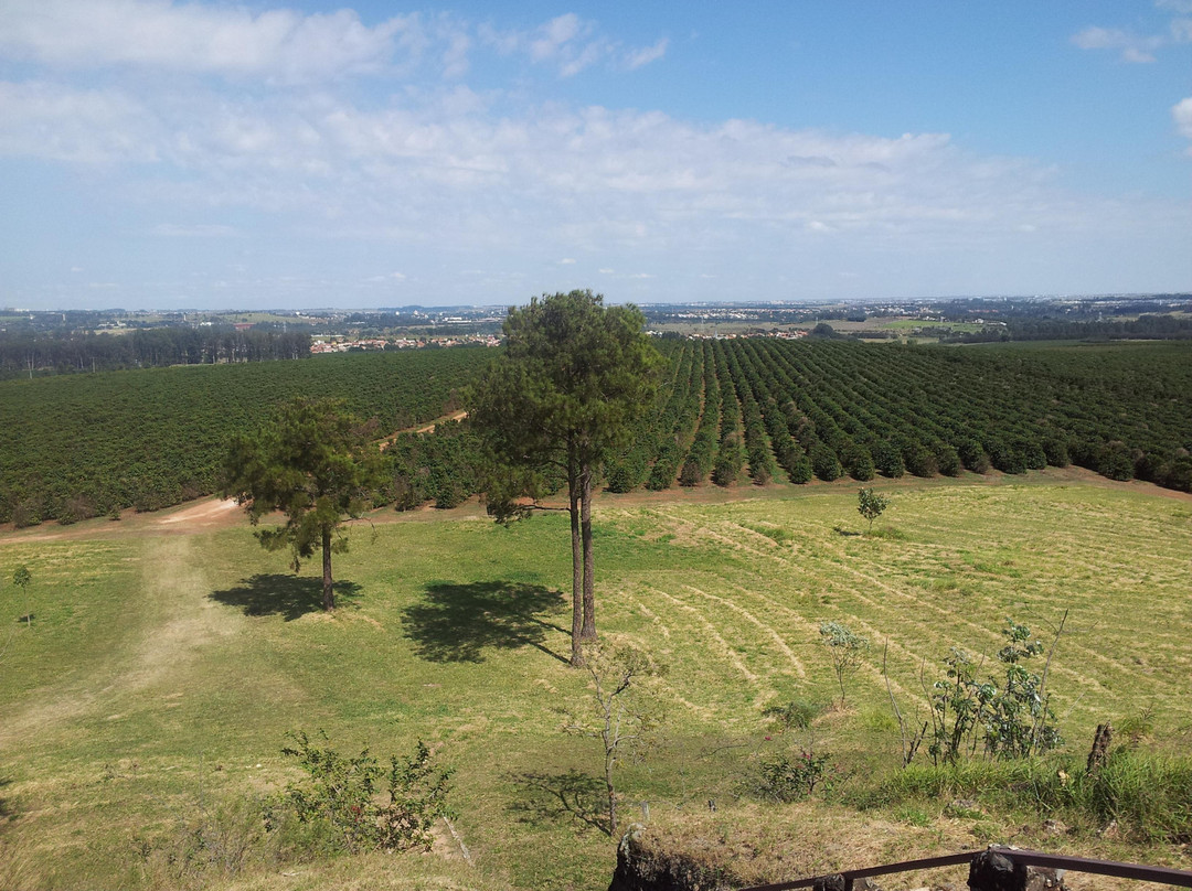 Fazenda Tozan (Monte d'Este)景点图片