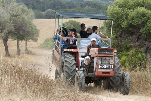 Karpaz Tractor Safari景点图片