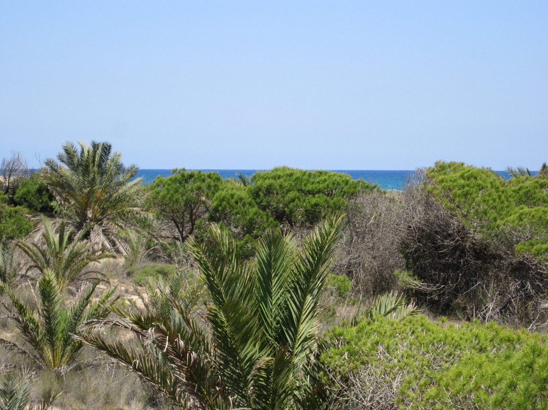 Playa El Rebollo景点图片