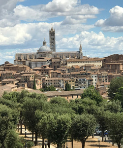 Fortezza Medicea景点门票图片