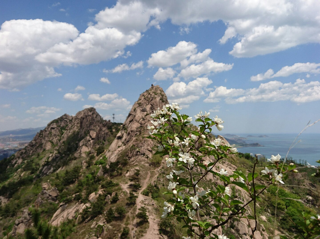 青岛浮山公园-青岛市必去景点