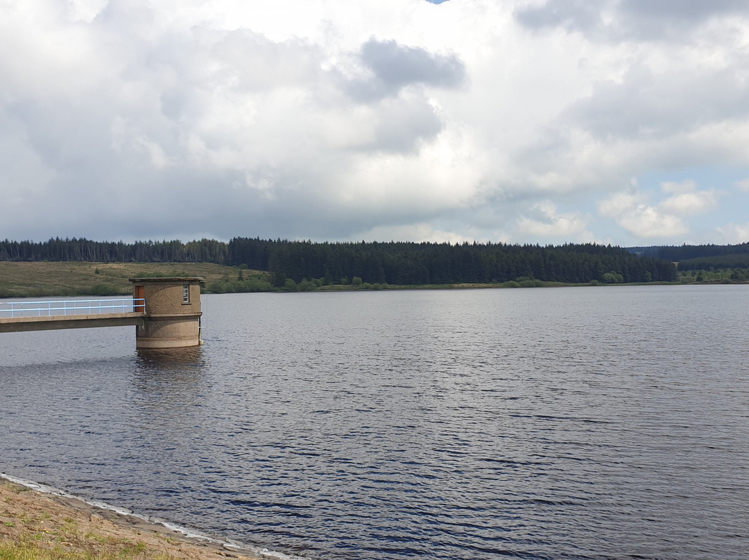 Killylane Reservoir景点图片